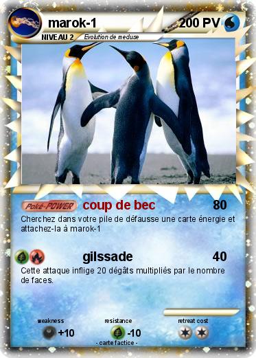 Pokemon marok-1