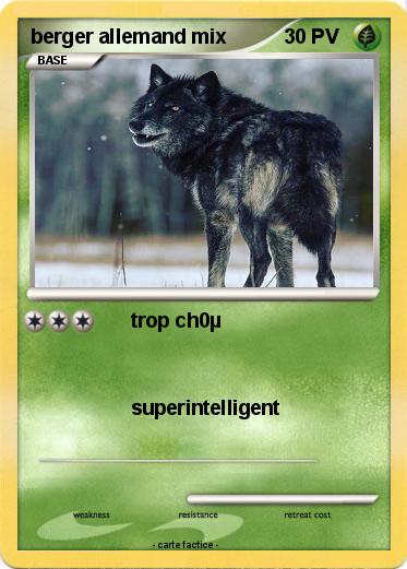 Pokemon berger allemand mix