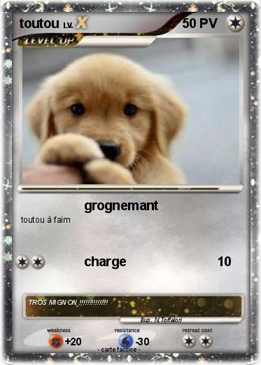 Pokemon toutou