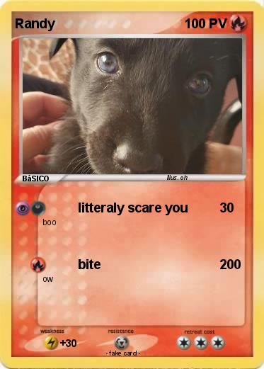 Pokemon Randy