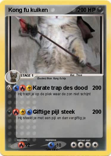 Pokemon Kong fu kuiken