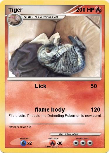 Pokemon Tiger