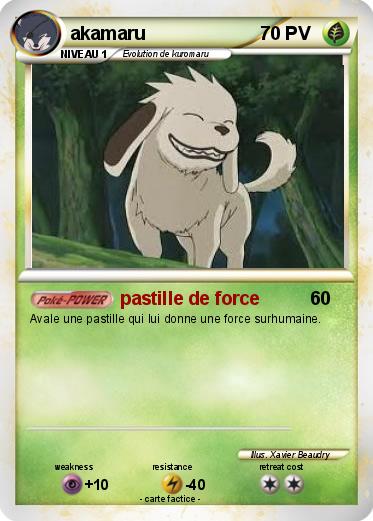 Pokemon akamaru