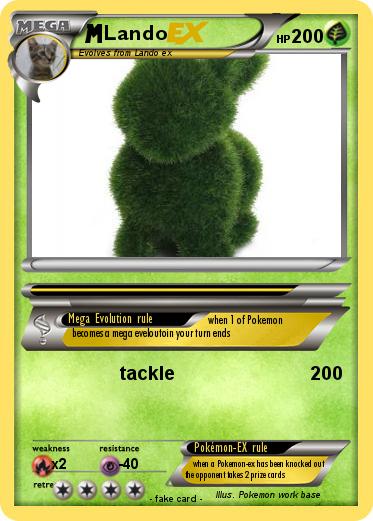 Pokemon Lando