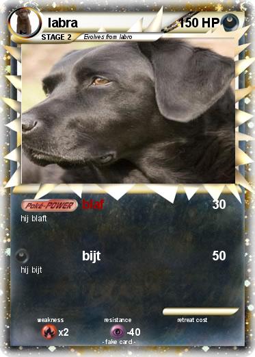 Pokemon labra