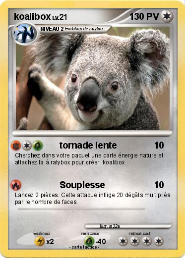 Pokemon koalibox