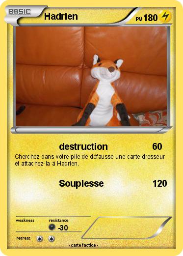 Pokemon Hadrien
