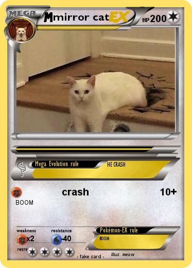 Pokemon mirror cat