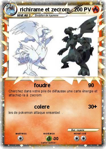 Pokemon richirame et zecrom