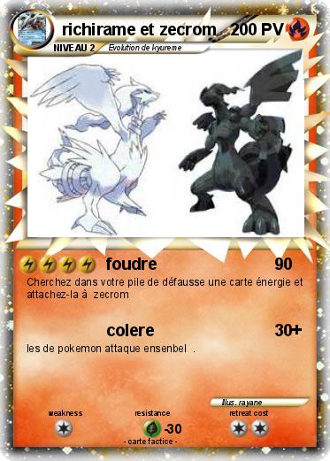 Pokemon richirame et zecrom
