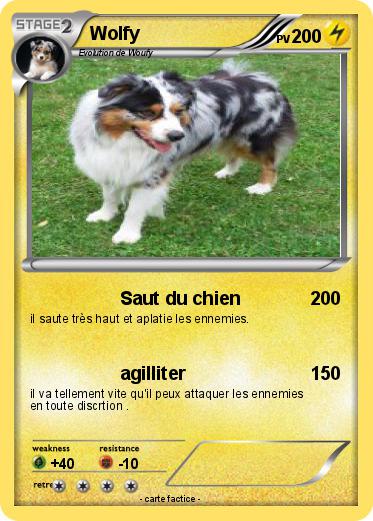 Pokemon Wolfy