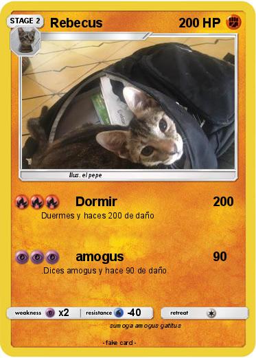 Pokemon Rebecus