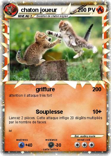 Pokemon chaton joueur