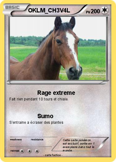 Pokemon OKLM_CH3V4L