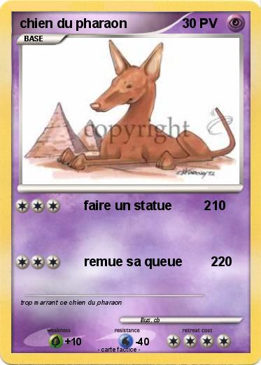 Pokemon chien du pharaon