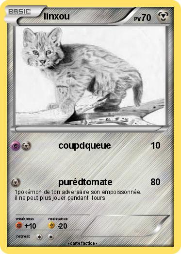 Pokemon linxou