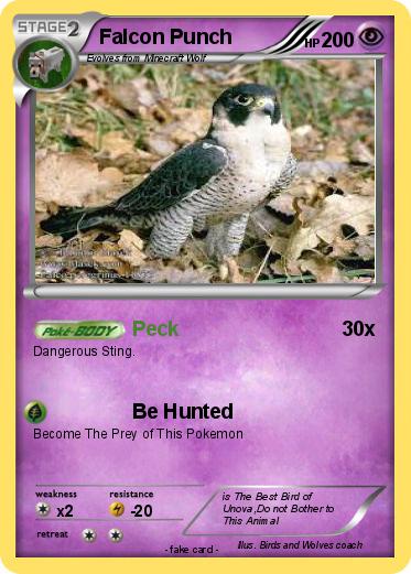 Pokemon Falcon Punch