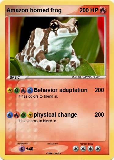 Pokemon Amazon horned frog
