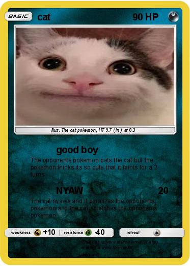 Pokemon cat