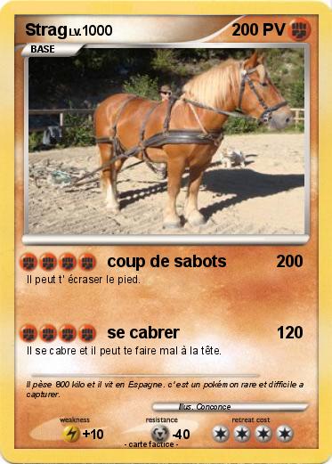 Pokemon Strag
