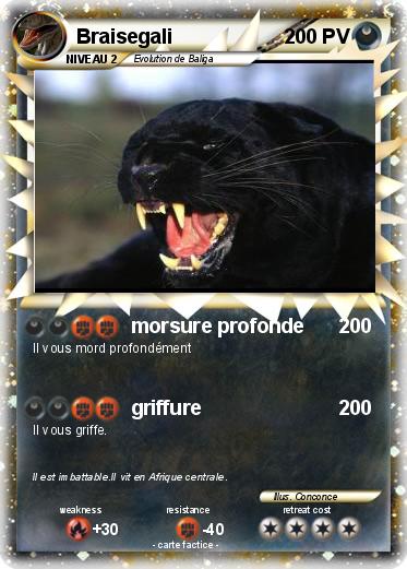 Pokemon Braisegali