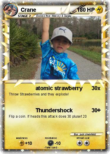 Pokemon Crane