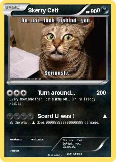 Pokemon Skerry Cett                        0