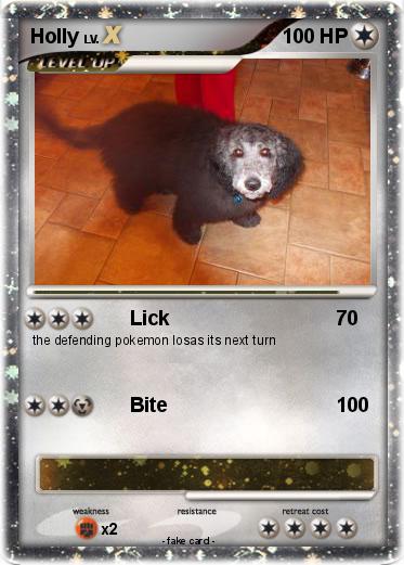 Pokemon Holly