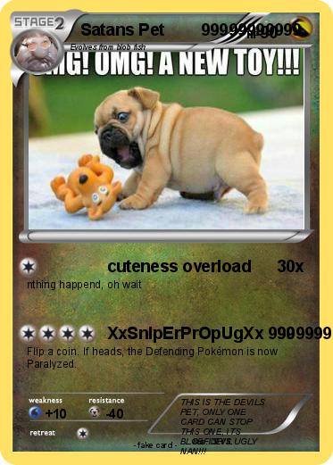 Pokemon Satans Pet        99999999999
