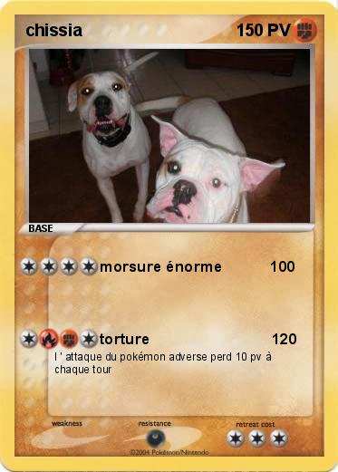 Pokemon chissia