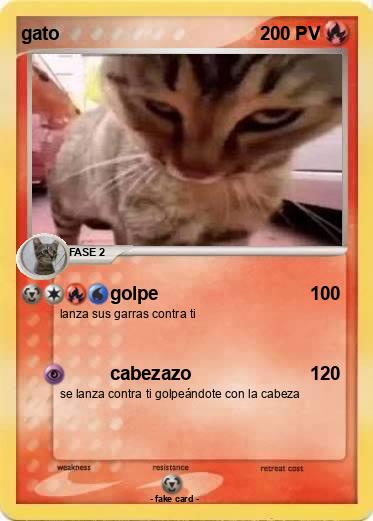 Pokemon gato