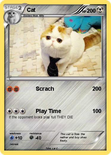 Pokemon Cat