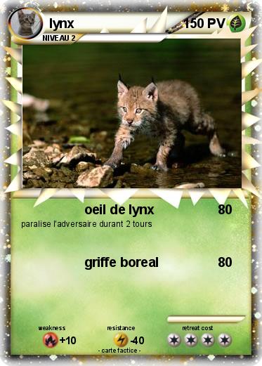 Pokemon lynx