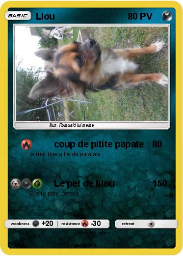 Pokemon Llou