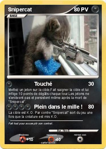 Pokemon Snipercat