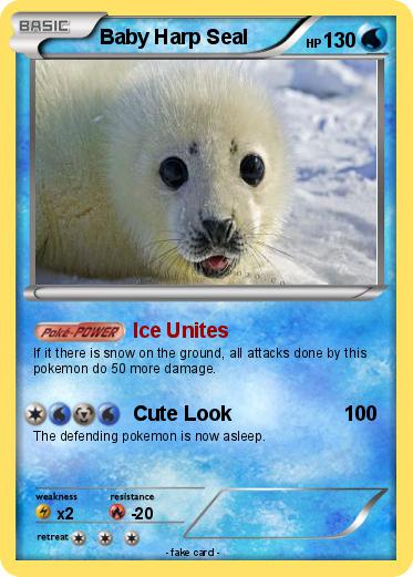 Pokemon Baby Harp Seal