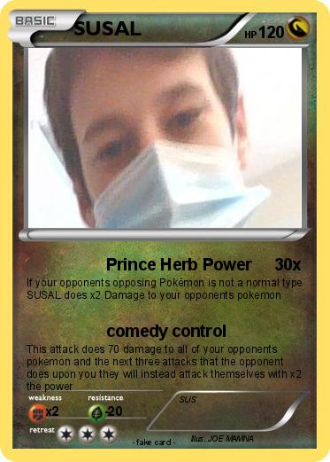 Pokemon SUSAL