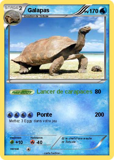 Pokemon Galapas