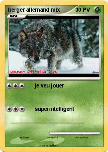 Pokemon berger allemand mix