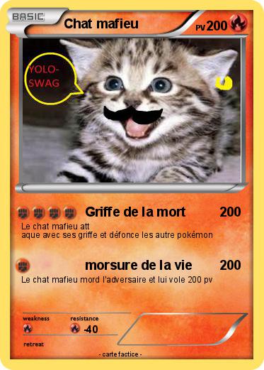 Pokemon Chat mafieu