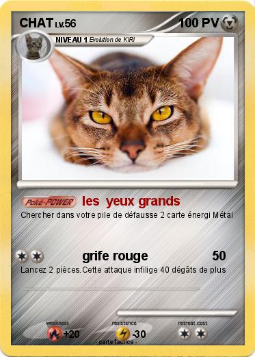 Pokemon CHAT