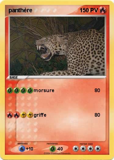 Pokemon panthère