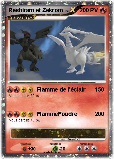 Pokemon Reshiram et Zekrom