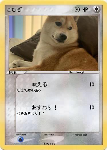 Pokemon こむぎ