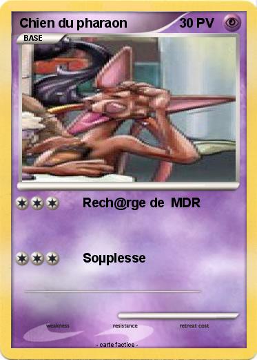 Pokemon Chien du pharaon