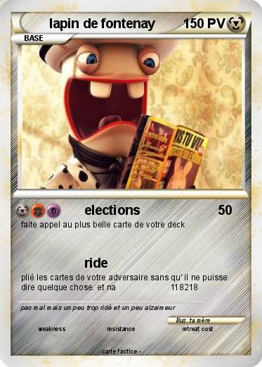 Pokemon lapin de fontenay