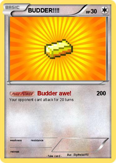 Pokemon BUDDER!!!!
