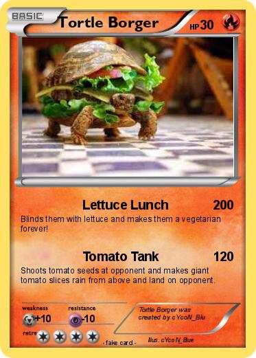 Pokemon Tortle Borger