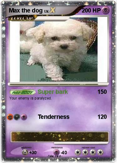 Pokemon Max the dog