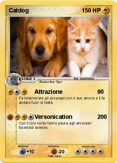 Pokemon Catdog